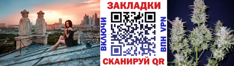 Купить наркотики Богородицк Галлюциногенные грибы  Конопля  Кокаин  СОЛЬ  МЕФ  Гашиш 