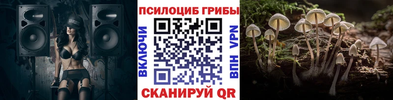 Галлюциногенные грибы MAGIC MUSHROOMS  Богородицк 