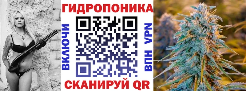 гидра   Богородицк  Бошки марихуана индика 